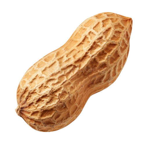 Peanut Butter